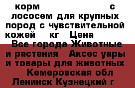 корм pro plan optiderma с лососем для крупных пород с чувствительной кожей 14 кг › Цена ­ 3 150 - Все города Животные и растения » Аксесcуары и товары для животных   . Кемеровская обл.,Ленинск-Кузнецкий г.